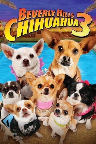 ดูหนังออนไลน์ฟรี Beverly Hills Chihuahua 3 Viva La Fiesta (2012) คุณหมาไฮโซ โกบ้านนอก ภาค 3