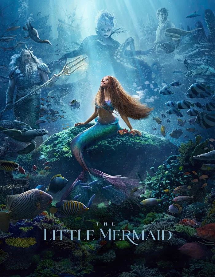 ดูหนังออนไลน์ฟรี The Little Mermaid (2023) เงือกน้อยผจญภัย